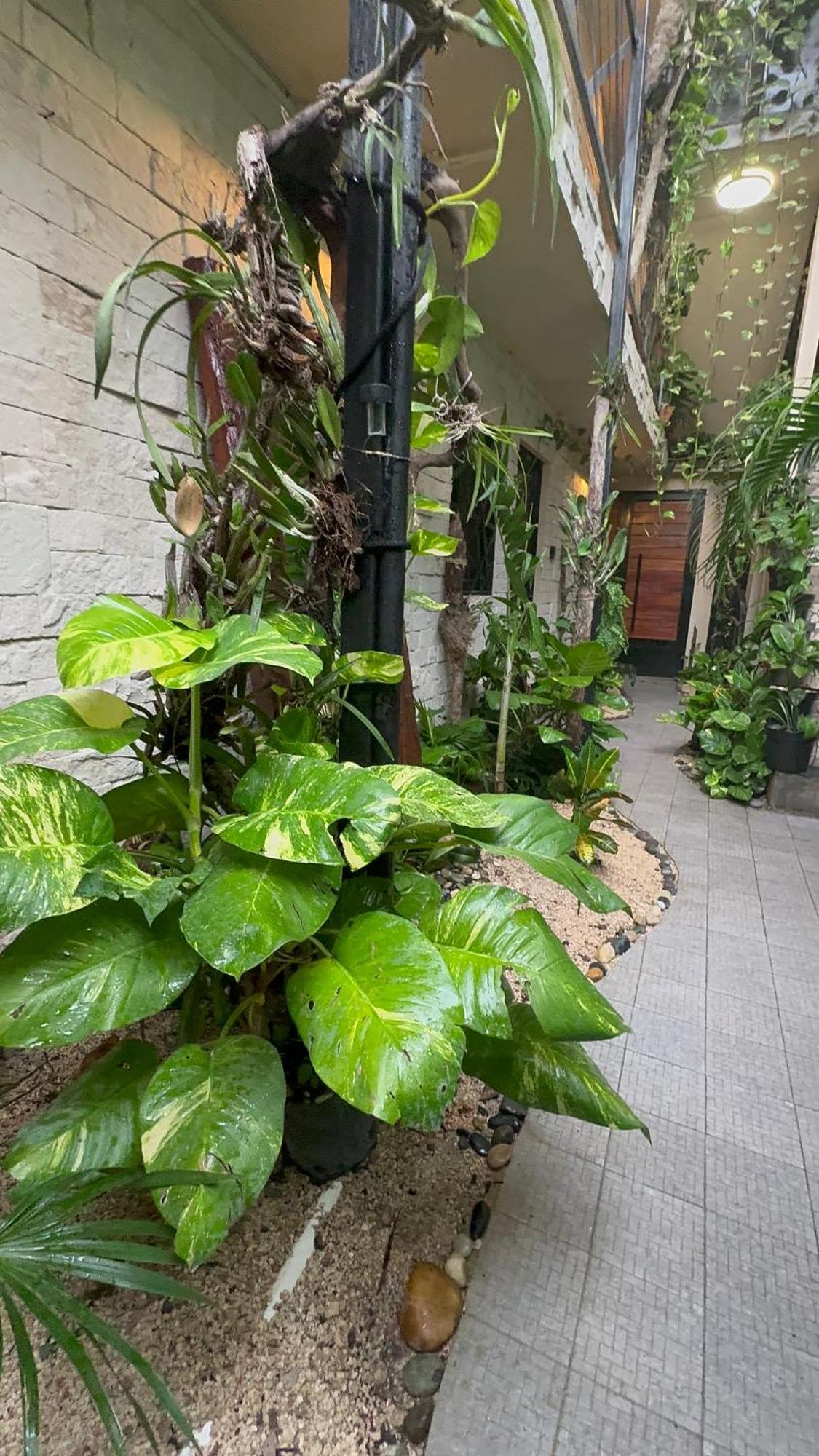 Estudio Nikte Apartment